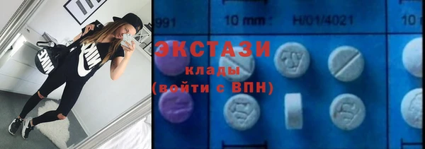 сатива Новодвинск