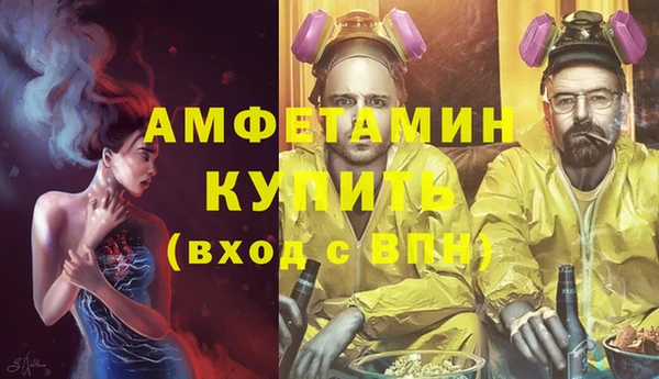 спиды Болотное