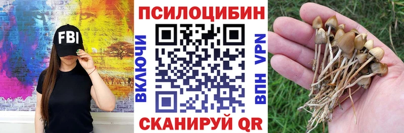 цены   Зерноград  Галлюциногенные грибы мухоморы 