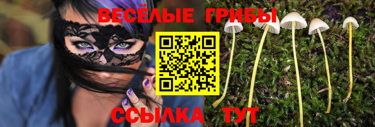 Псилоцибиновые грибы Magic Shrooms Зерноград